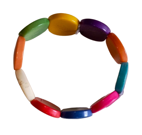 Pulseira Multicolorida